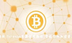 全面解析：Tokenim苹果使用教程，掌握你的加密资