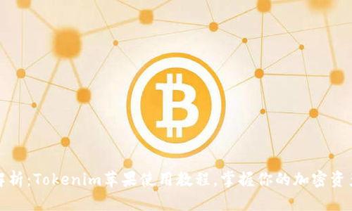 全面解析:Tokenim苹果使用教程,掌握你的加密资产管理